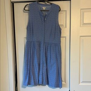 J.Crew Light Blue Eyelet Button-Front Dress